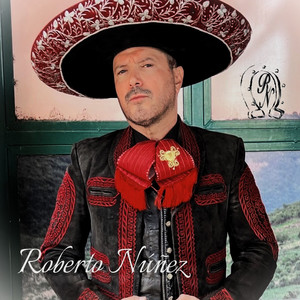 Lo Que No Fue No Sera