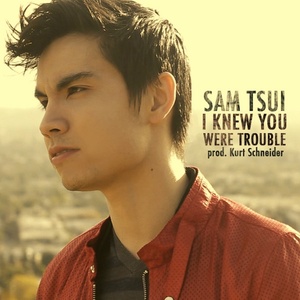 I Knew You Were Trouble