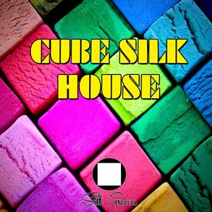 Cube Silk House