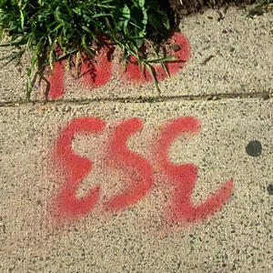 Kujo Kujo Kujo (Jotaro.Swag) (Explicit)