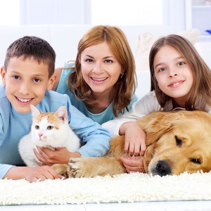 Serene Melodies for Dogs