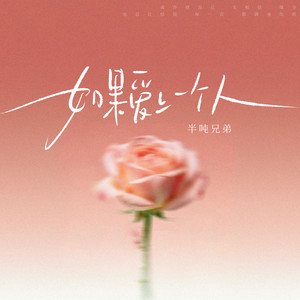 如果爱上一个人