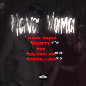 Party (feat. Bleez) (Explicit)