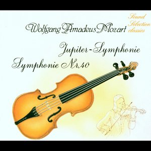 Symphonie, Nr. 40 in G-Moll, KV 550: I. Molto allegro