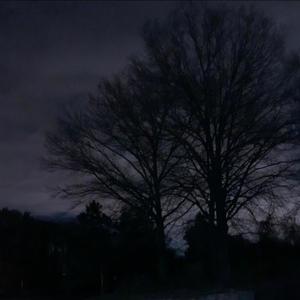 Molly (feat. Celly En Noir) (Explicit)