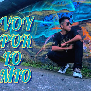 VOY POR LO MIO