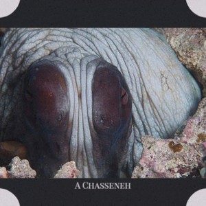 A Room In Bloomsbury