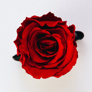 Sweetest Thing (Acapella)