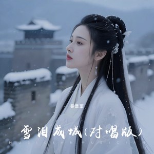 雪泪成城 (对唱版)封面