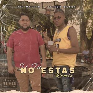 Si Tu No Estas (feat. Big Melvin & Yeison Black) [RMX]