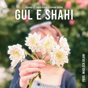 GUL E SHAHI (feat. Farhan Bogra)