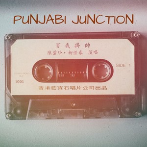 punjabi junction