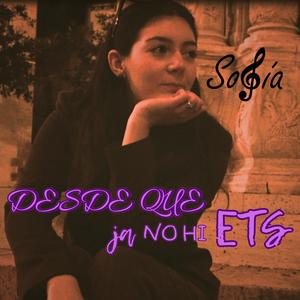 Des de que ja no hi ets