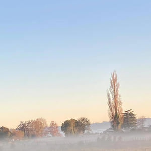 DanaJones (Explicit)