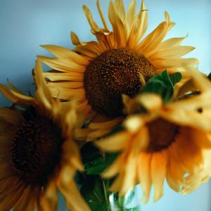 我不配和喜欢的人去方特