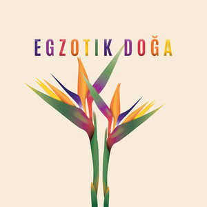 Egzotik Doğa - Rahatlamak için Huzurlu bir Atmosfer Bul