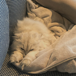 是啊，要做个成熟的人 (伴奏)