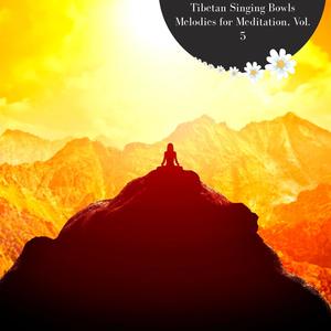 Destressing Mind (Original Mix)