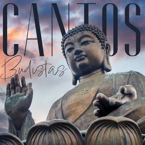 Imágenes de la Perfección