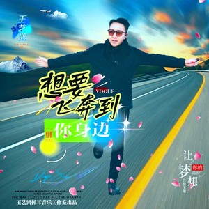 想要飞奔到你身边