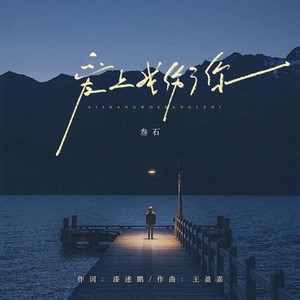 爱上我伤了你和声伴奏 (伴奏)