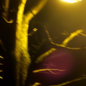 maybe, i'd like to forget