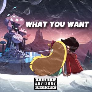What You Want (feat. Mcboiii) (Explicit)