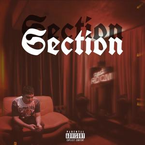 Section (Explicit)