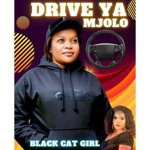 Driver ya Mjolo we move