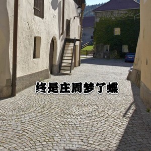 终是庄周梦了蝶