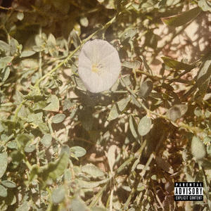 Neva been a busta (feat. Dancin Mane) (Explicit)