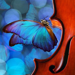 Love Theme (Arr. for Electronic Orchestra)