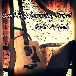 Can't Stop Jamming Project - Part 1 "La Meuh"