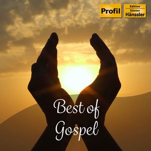 Best of Gospel - Live Live Live, Vol. 2