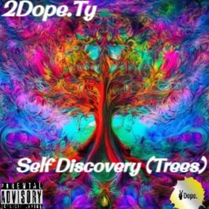 Self Discovery (Explicit)