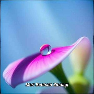 Meri Bechain Zindagi