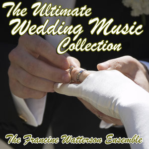 Brandenburg Concerto No. 4 In G Major, Bwv 1049, I. Allegro