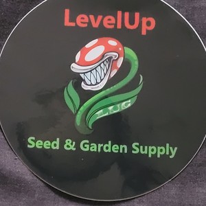 Your My Baby (Trainwreck) (Explicit)