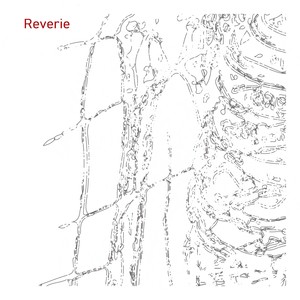 Reverie