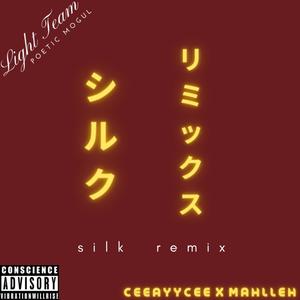 Silk(feat. Mahlleh) (Remix|Explicit)