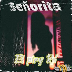 Señorita (feat. Diplomello)