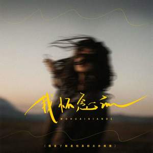 我怀念的 (假装了解是怕真相太赤裸裸)