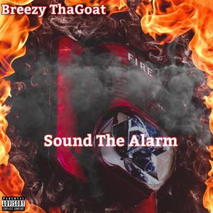 Sound The Alarm (Explicit)