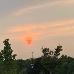 Im Hopin (feat. Bryxen) (Explicit)