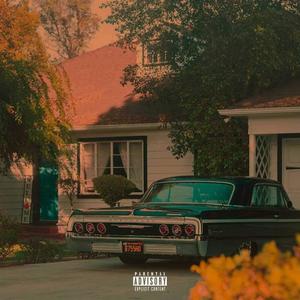 Remember I Was Depressed (Explicit)