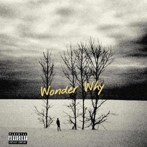 Wonder Why (Explicit)