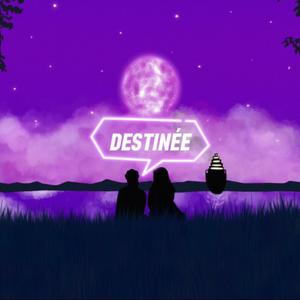Destinée (Remix|Explicit)