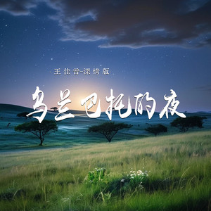乌兰巴托的夜-王佳音