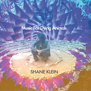 Music for Dying Animals