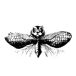 TRANSMISSION PEDRO B (feat. J SWIFT)